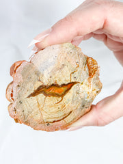 Agate ThunderEgg Bird 139g