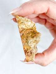 Agate ThunderEgg Bird 139g