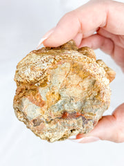 Agate ThunderEgg Bird 139g