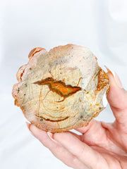 Agate ThunderEgg Bird 139g