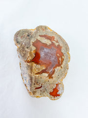 Agate ThunderEgg 163g