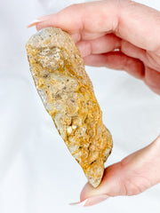 Agate ThunderEgg 163g