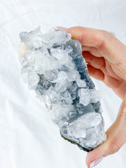 Apophyllite Glass Cluster with Chalcedony Stilbite 304g