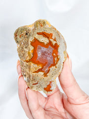 Agate ThunderEgg 163g