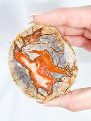 Agate ThunderEgg 241g