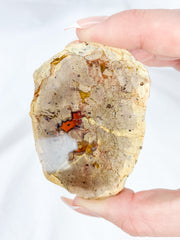 Agate ThunderEgg 129g
