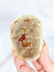 Agate ThunderEgg 129g