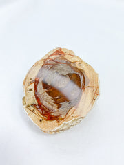 Agate ThunderEgg 66g