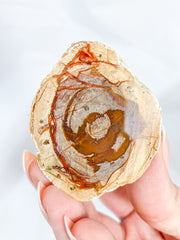 Agate ThunderEgg 66g