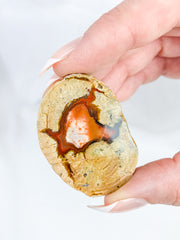 Agate ThunderEgg 43g