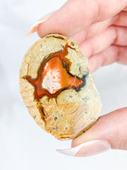 Agate ThunderEgg 43g