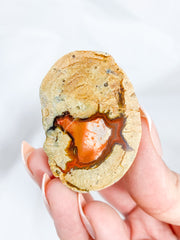 Agate ThunderEgg 43g