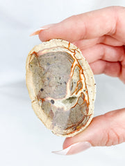 Agate ThunderEgg 71g