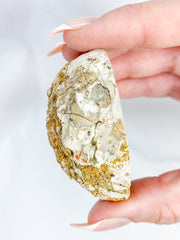Agate ThunderEgg 71g