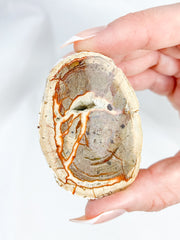 Agate ThunderEgg 71g