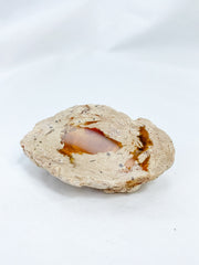 Agate ThunderEgg 61g