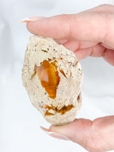 Agate ThunderEgg 61g