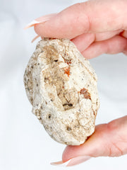 Agate ThunderEgg 61g