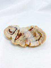 Agate ThunderEgg 51g