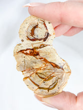 Agate ThunderEgg 51g