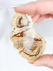 Agate ThunderEgg 51g