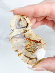 Agate ThunderEgg 51g