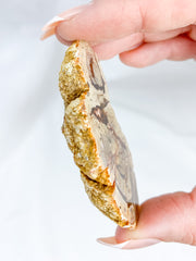 Agate ThunderEgg 51g