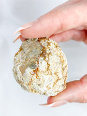Agate ThunderEgg 54g