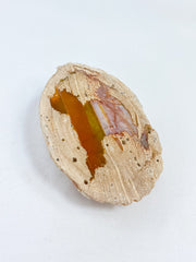 Agate ThunderEgg Cat 59g