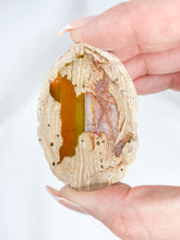 Agate ThunderEgg Cat 59g