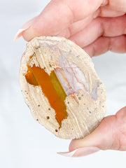 Agate ThunderEgg Cat 59g