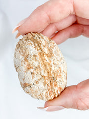 Agate ThunderEgg Cat 59g