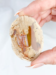 Agate ThunderEgg Cat 59g