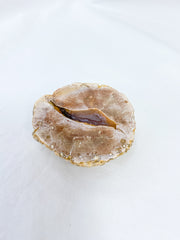 Agate ThunderEgg 89g