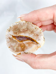 Agate ThunderEgg 89g
