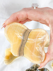 Zebra Aragonite Free Form Bowl | Large
