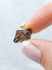 Campo Del Cielo Meteroite