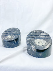 Orthoceras and Ammonite Business Card Holder 987g