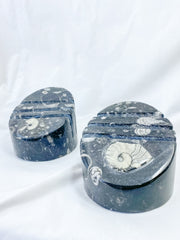 Orthoceras and Ammonite Business Card Holder 987g