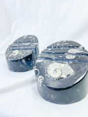 Orthoceras and Ammonite Business Card Holder 987g