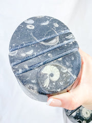 Orthoceras and Ammonite Business Card Holder 987g