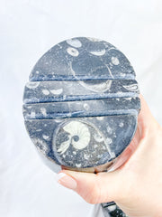 Orthoceras and Ammonite Business Card Holder 987g