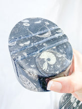 Orthoceras and Ammonite Business Card Holder 987g