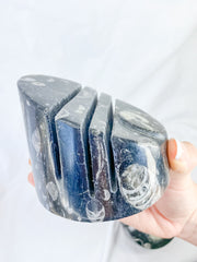 Orthoceras and Ammonite Business Card Holder 987g