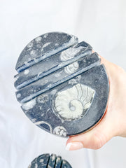 Orthoceras and Ammonite Business Card Holder 987g