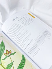 The Ultimate Guide to Aromatherapy