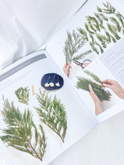 Creating Smudge Sticks | 14 Projects to Remove Negative Energy and Promote Wellness