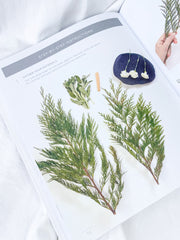 Creating Smudge Sticks | 14 Projects to Remove Negative Energy and Promote Wellness