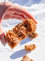 Desert Rose Selenite