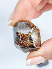 Garnet Free Form Polished Tumbles | X Large